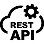 REST API Icon